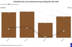 Xuất khẩu dầu cọ Indonesia vượt 8 tỷ USD trong 4 tháng