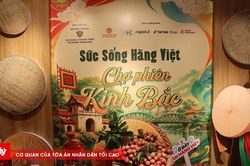 Chợ phi&ecirc;n Kinh Bắc tại phố Tr&agrave;ng Tiền: Đưa n&ocirc;ng sản số, đặc sản VietGAP đến với người d&acirc;n Thủ đ&ocirc;