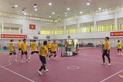 Cầu mây nam Việt Nam và khoảng trống cọ xát quốc tế