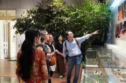 Bảo tàng trong một thành phố đang lớn lên