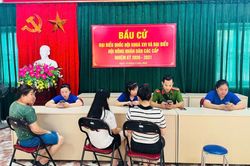 Đoàn Thanh niên phường Thục Phán ra quân hỗ trợ cài đặt, kích hoạt tài khoản định danh điện tử