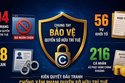 Khởi tố 56 vụ, ngăn chặn 194 trang mạng vi phạm sở hữu trí tuệ