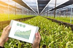 Tăng khả năng tiếp cận vốn cho người dân, doanh nghiệp lĩnh vực nông nghiệp