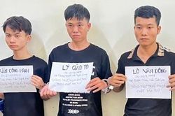 Bắt giữ 5 đối tượng về hành vi mua bán, tàng trữ trái phép chất ma túy