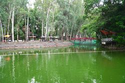 Tổ chức hội thảo xác minh hố chôn tập thể liệt sĩ tại công viên Lê Thị Riêng