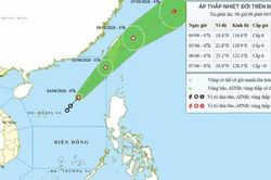 14 tỉnh, thành phố ven biển chủ động ứng phó áp thấp nhiệt đới