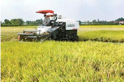 Hợp tác xã Phú Nghĩa 'tiếp sức' cho nông dân trong sản xuất nông nghiệp