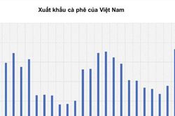 Áp lực bán quay lại, MXV-Index lùi về 2.859 điểm