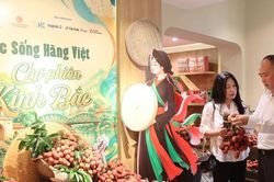 Kết nối đa kênh, mở rộng đầu ra cho vải Thiều Bắc Ninh