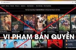 Chống xâm phạm bản quyền: Cần nhiều giải pháp đồng bộ