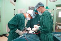 Bà Rịa – Vũng Tàu sẽ trở thành cụm y tế chuyên sâu của TPHCM
