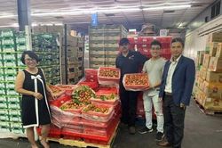 Vải thiều tươi đầu vụ của Việt Nam chinh phục thị trường Hoa Kỳ