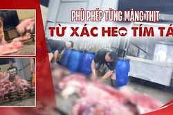 Ban Thường vụ Thành ủy TP.HCM có chỉ thị quan trọng về an toàn thực phẩm