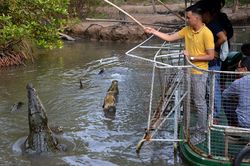 Du lịch Việt Nam bứt tốc, TP.HCM tìm động lực tăng trưởng mới