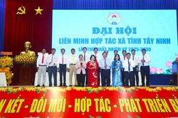 Tây Ninh đặt kỳ vọng kinh tế tập thể trở thành động lực tăng trưởng mới