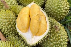 Trung Quốc duyệt thêm loạt phòng kiểm nghiệm sầu riêng ở Việt Nam