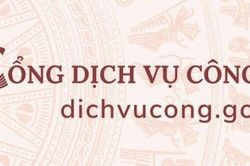 Nguy&ecirc;n tắc quản l&yacute;, vận h&agrave;nh, khai th&aacute;c Cổng Dịch vụ c&ocirc;ng quốc gia