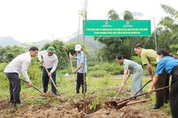 Điện Biên phát động hưởng ứng Ngày Môi trường thế giới năm 2026