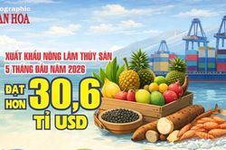 Xuất khẩu nông lâm thủy sản 5 tháng đầu năm 2026 đạt hơn 30,6 tỉ USD