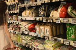 FAO cảnh báo hậu quả lạm dụng kháng sinh trong chăn nuôi