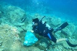 Liên hợp quốc kêu gọi khẩn trương hành động để bảo vệ các đại dương