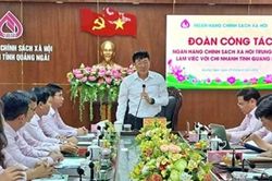 Quảng Ngãi nâng cao chất lượng và hiệu quả của hoạt động tín dụng chính sách