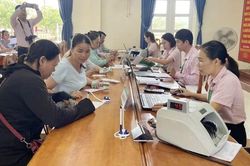 Quảng Trị phát huy tối đa nguồn vốn tín dụng chính sách