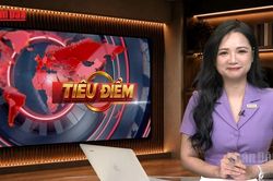 [Video] Tiêu điểm 5/6/2026: Mạnh tay dẹp lậu bản quyền