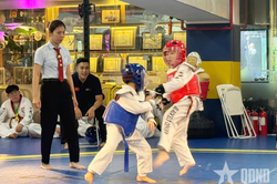 Hợp tác phát triển taekwondo giữa Việt Nam và Hàn Quốc