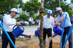 Đà Nẵng đồng loạt ra quân hưởng ứng Tháng hành động vì môi trường