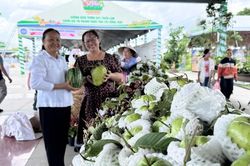 Đồng Tháp khai mạc Lễ hội trái cây lần thứ I năm 2026