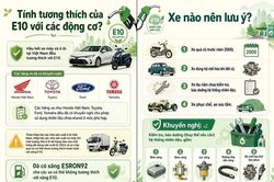 Đây là những rủi ro chủ ôtô cũ dễ gặp nhất khi chạy xăng E10