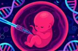 Giới nghiên cứu lần đầu chỉnh sửa chính xác gene phôi người