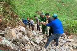 Quân và dân chung sức mở đường tuần tra biên giới