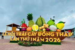 Đồng Tháp thúc đẩy phát triển ngành hàng trái cây theo hướng hiện đại