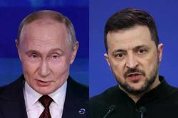 Điện Kremlin nói về bức thư của Tổng thống Ukraine Volodymyr Zelensky