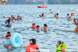 Nô nức đi biển Hạ Long
