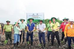 Ngày Môi trường Thế giới: 'Áp lực kép' của ngành năng lượng