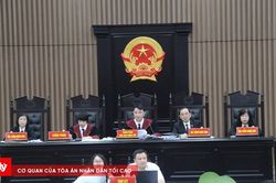 Người có tiền án trộm cắp, tiếp tục phạm tội: Tái phạm hay phạm tội 2 lần trở lên?