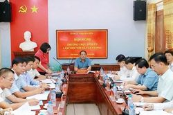 Xây dựng xã Tân Cương thành trung tâm kinh tế trà, du lịch sinh thái và nghỉ dưỡng