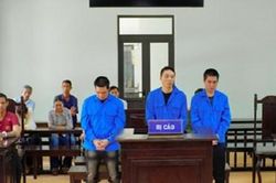 Mua bán ma túy 3 bị cáo ở Gia Lai lãnh án tù