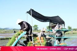 Triển khai đồng bộ các giải pháp, thực hiện hiệu quả kế hoạch sản xuất hè thu
