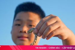 Theo chân bố mẹ ra biển bắt tôm tít