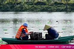 Thống nhất nghiệm thu dự án chọn con giống và nuôi trai nước ngọt lấy ngọc