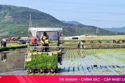 Lần đầu tiên nông dân Kỳ Xuân cấy lúa bằng máy và làm mạ khay