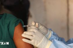 Rủi ro bệnh dịch Ebola và nắng nóng trong thời gian diễn ra World Cup 2026
