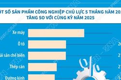 Chỉ số sản xuất công nghiệp 5 tháng năm 2026 tăng 9,1%