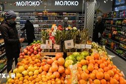 Tổng thống Nga Vladimir Putin tự tin nền kinh tế đang đi đúng hướng