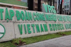 GVR không bị hủy tư cách công ty đại chúng dù chưa đạt chuẩn
