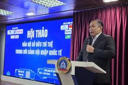 Một đêm xử lý hơn 200 website lậu, chuyên gia nói gì về 'cuộc chiến' bản quyền?
